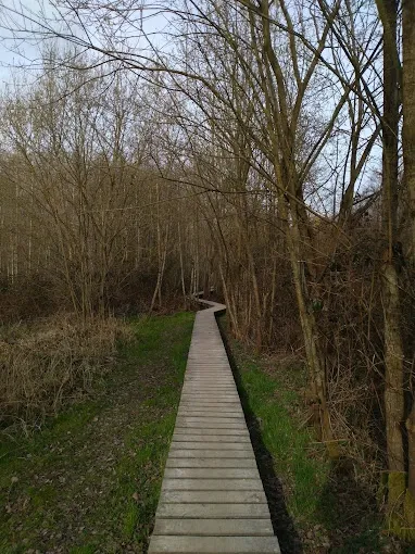 Landschap in de Vlaamse Ardennen